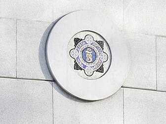 Gardai investigate alleged abd...
